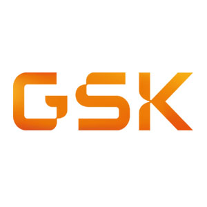 17gsk300